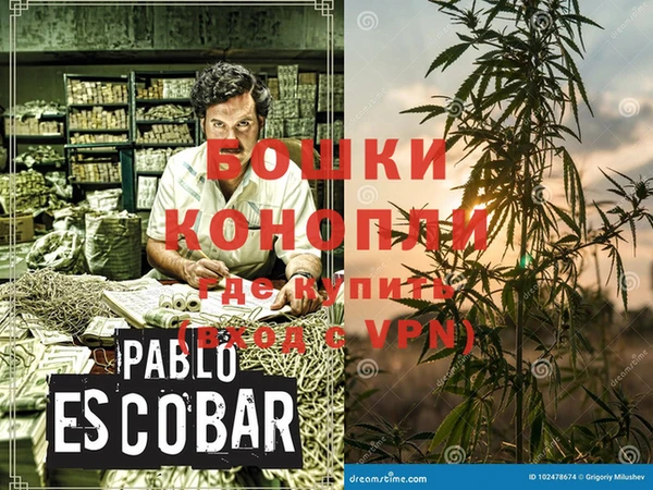 мдпв Костерёво
