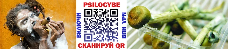 Псилоцибиновые грибы MAGIC MUSHROOMS  Нерчинск 